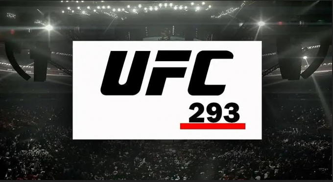 UFC 293